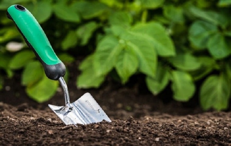 کود آمینو اسید چیست؟