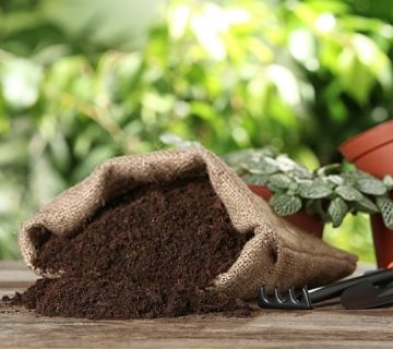 کود آلی چیست