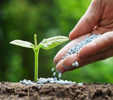 مزایای کود آمینو اسید کلات شده