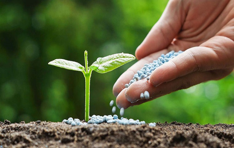 مزایای کود آمینو اسید کلات شده