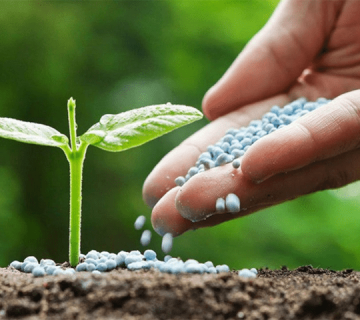 مفهوم کود اوره و ویژگی های آن