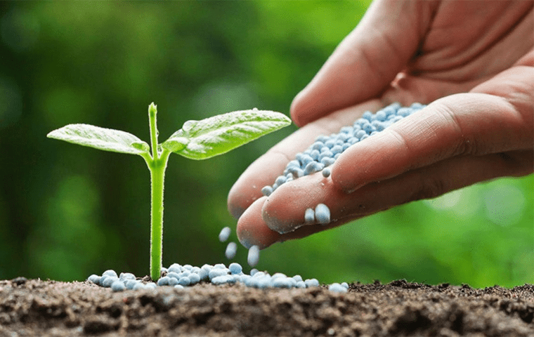 مفهوم کود اوره و ویژگی های آن