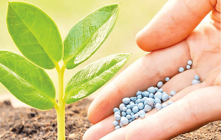 اثرات اسید آمینه در رشد گیاه