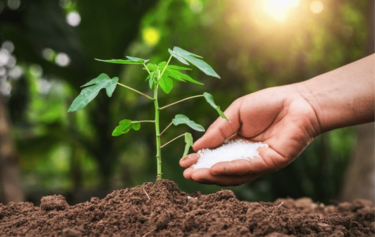 نکات کود دهی به گیاهان آپارتمانی